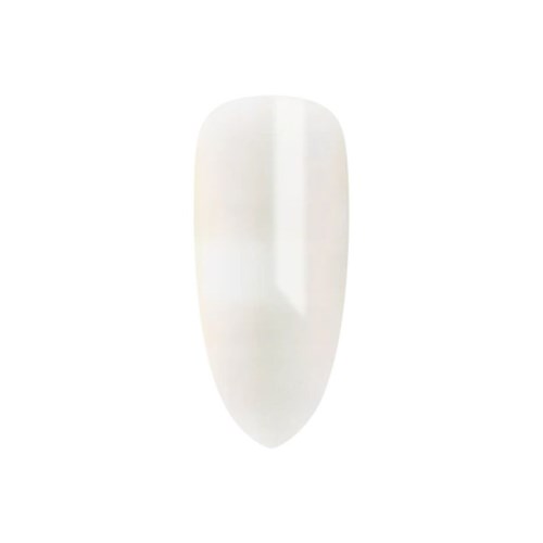 32590- 12 ML_2